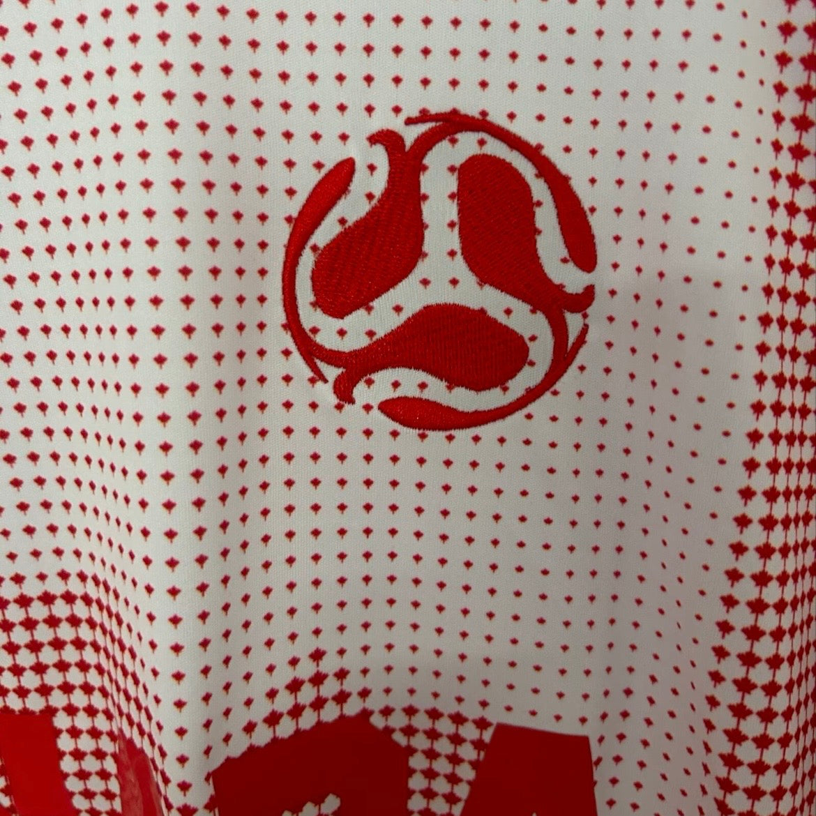 Canada Maillot Concepts Football Saison 2026