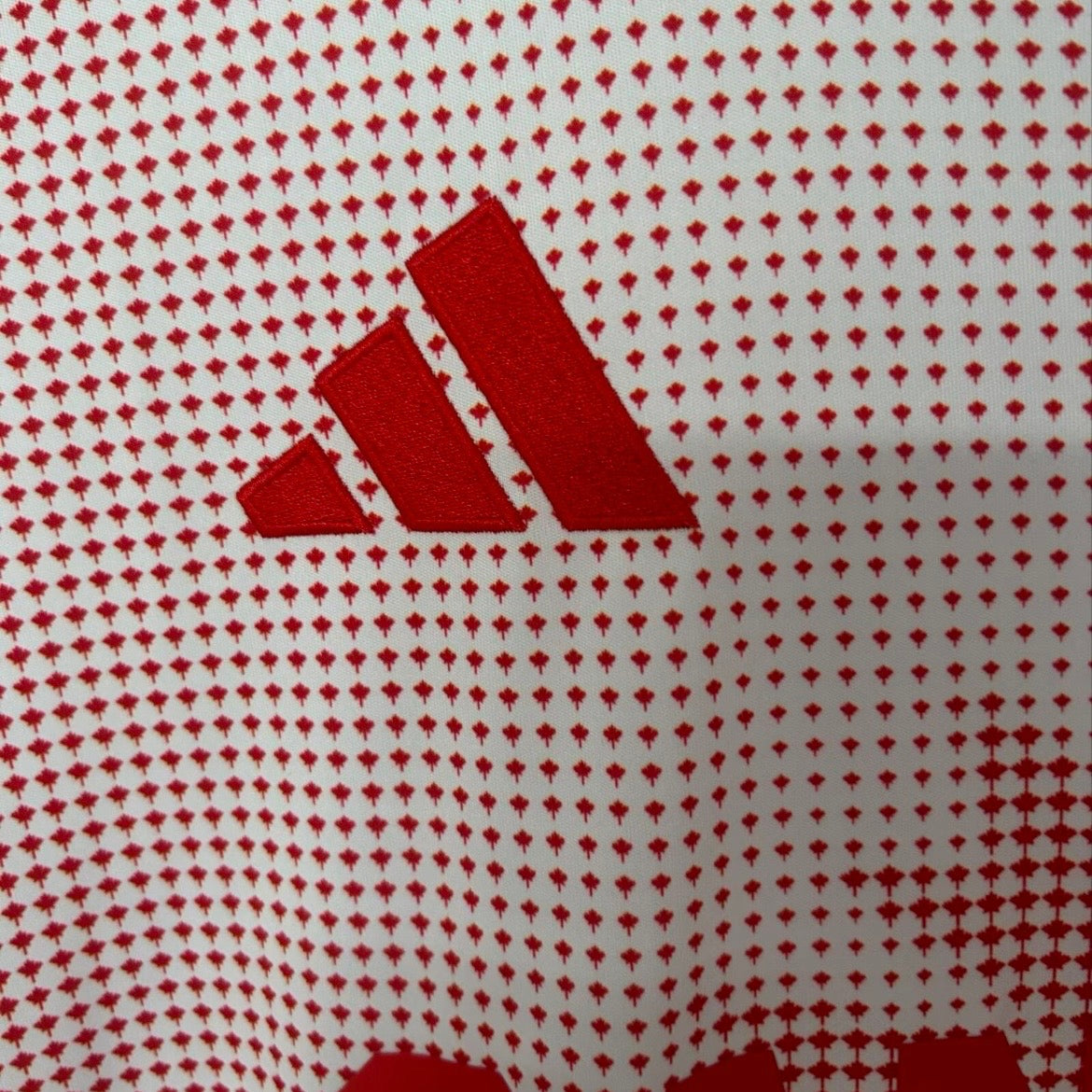 Canada Maillot Concepts Football Saison 2026