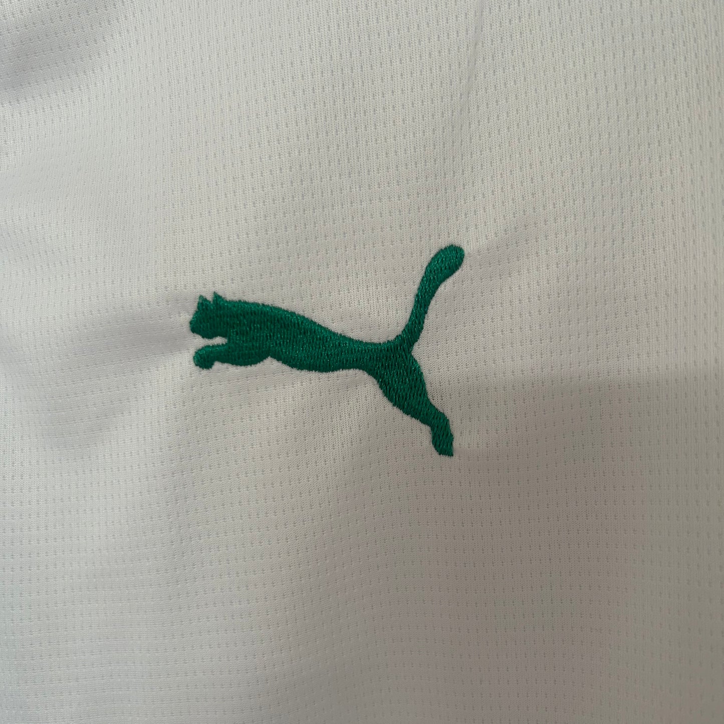 Sénégal Maillot Football Blanc Saison 2024/2025