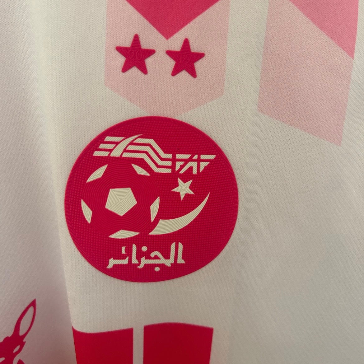 Algérie Maillot Concepts Football Saison 2025