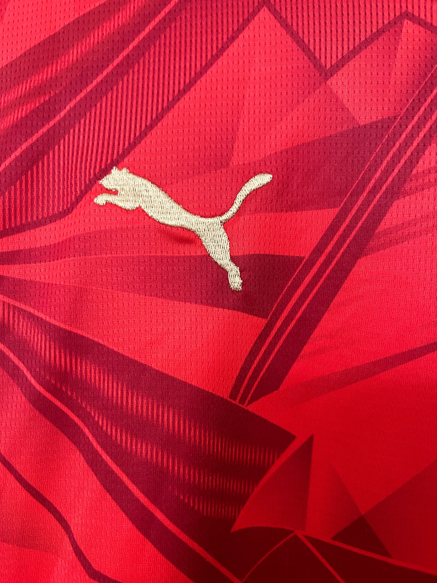 Égypte Maillot Football Rouge Saison Coupe Du Monde 2026